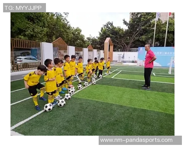 以小球星培养为核心探索青少年足球发展新模式路径 以小球星培养为核心探索青少年足球发展新模式路径